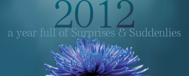 Surprises & Suddenlies